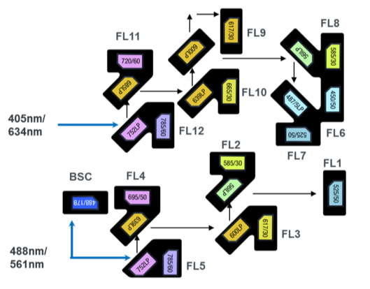 Free-form PMT layout of the MA900 cell sorter.