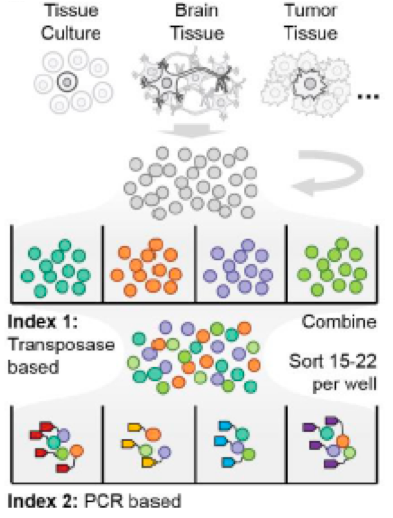 Multiple rounds of barcoding and sorting