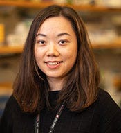 Photo of Dr. Yufei Wang
