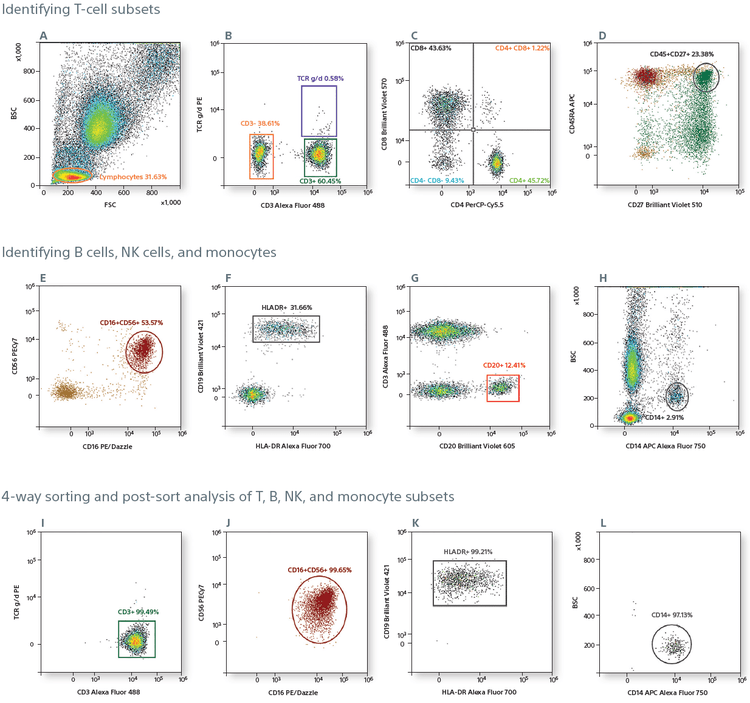 MA900 Post-sort analysis of cells