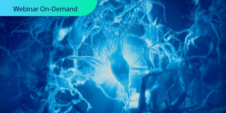 Webinar: Decoding Age-Related Proteostasis Decline: Cell-Specific BONCAT Labeling and Isolation of Neural Components Using the MA900 Cell Sorter.