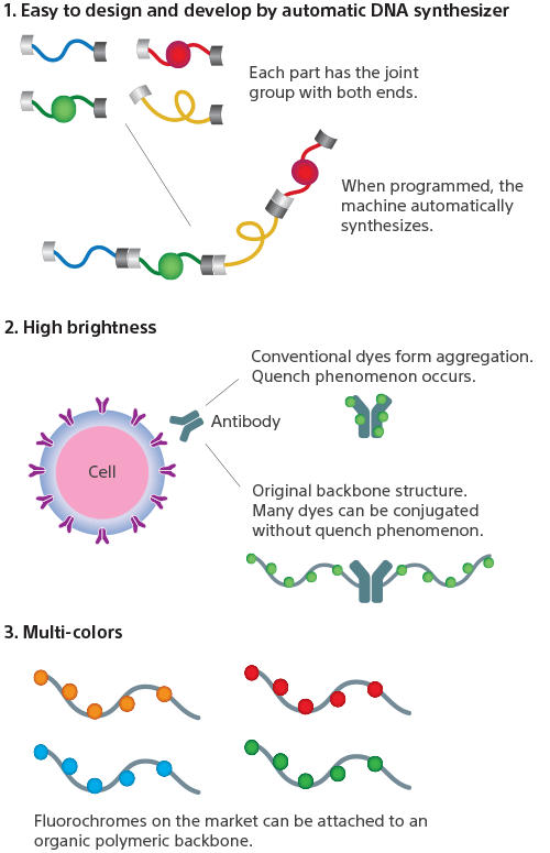 Polymeric dyes diagram