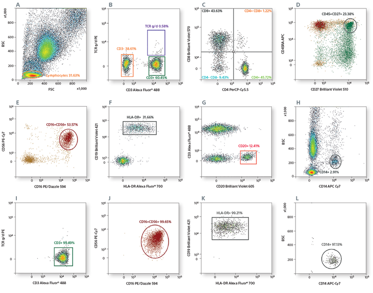 High-purity 4-way sorting of a 12 color immunophenotyping panel