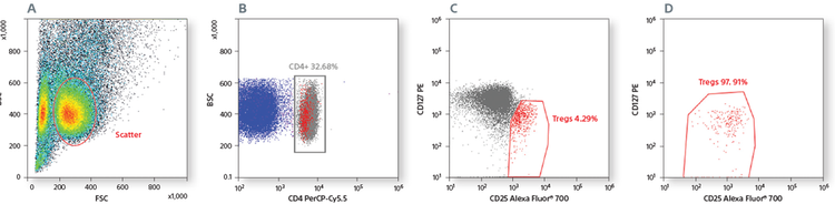 High-purity sorting of regulatory T cells