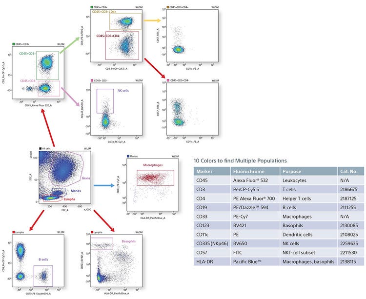 find multi-Populations using 10 colors
