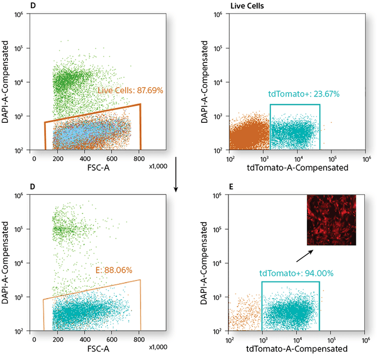 sorting and viability analysis