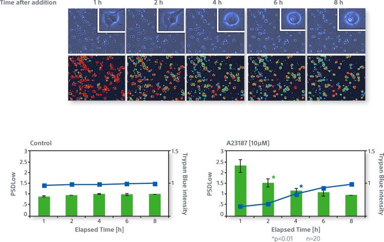 The figures below show how the Power Spectral Density (PSD) of a neuron culture can be used to predict cell death precisely