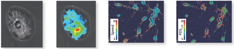 Visualization