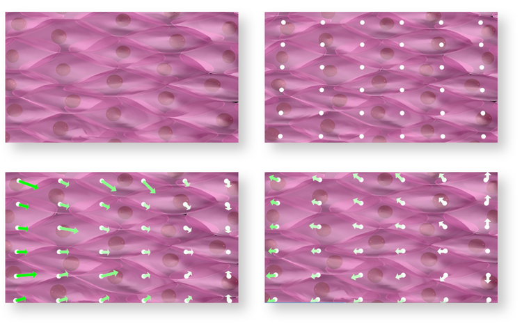 High Speed Motion Capture, Quantification and Visualization
