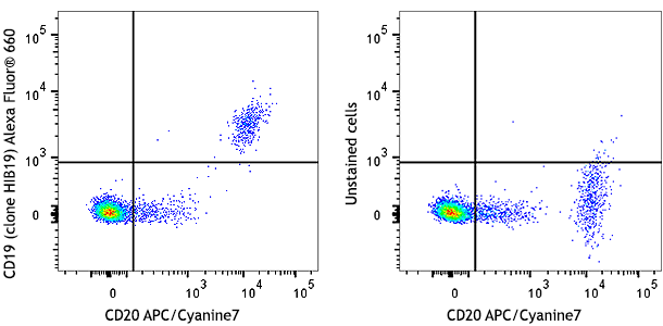 Cytotoxin / Radiophobia【輸入盤】 Alexa Fluor 488 anti-human Cytokeratin 7 Antibody anti-Cytokeratin