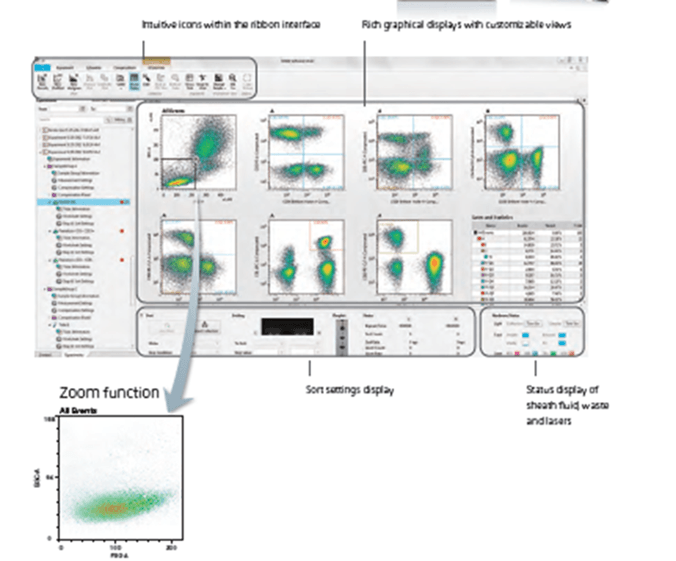 Sorting settings and sort status