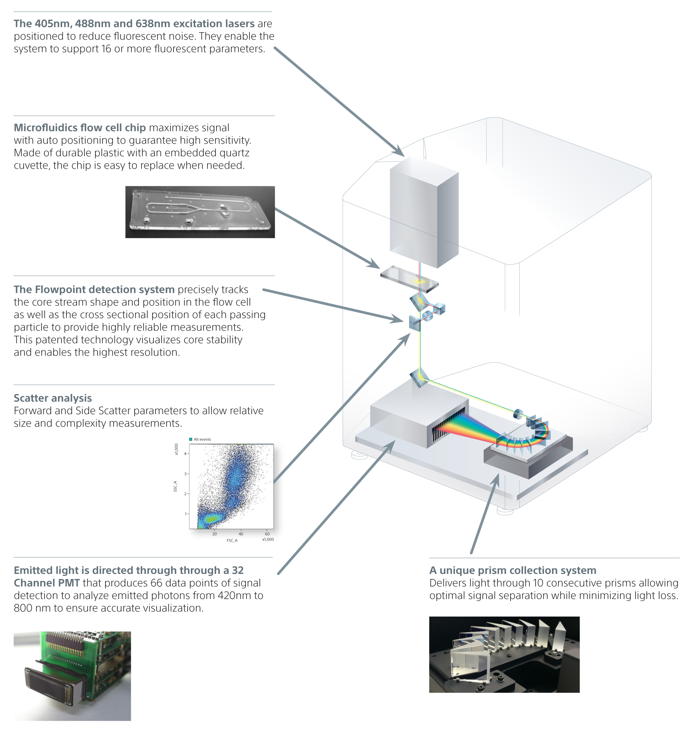Exploded view diagram of the SP6800