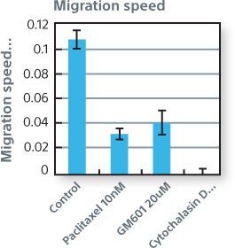 A bar graph that represents migration speed under control conditions and in response to the anti-cancer agents Paclitaxel, GM601, and Cytochalasin.