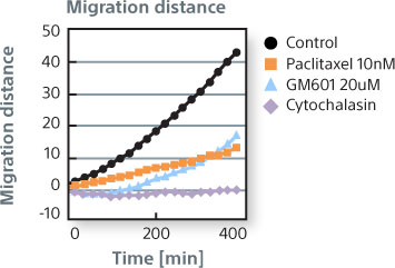 The line graph represents migration distance under control conditions and in response to the anti-cancer agents Paclitaxel, GM601, and Cytochalasin.