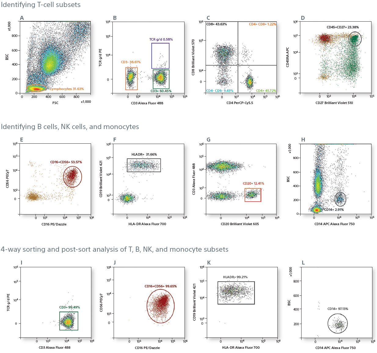 MA900 Post-sort analysis of cells