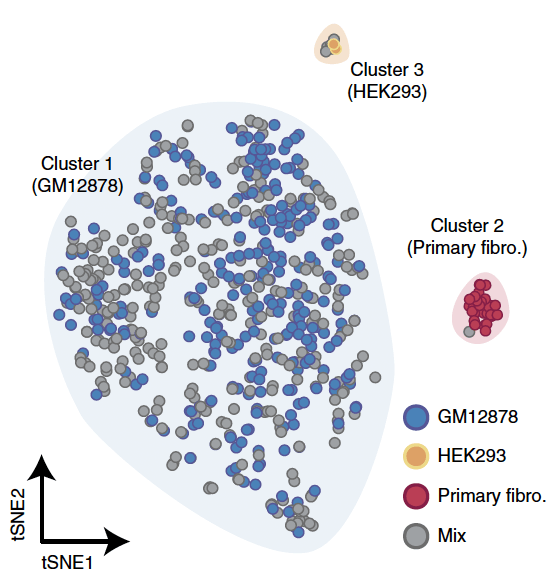 Cluster analysis of single-cell methylomes of a heterogeneous cell mixture